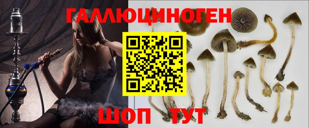 Галлюциногенные грибы Psilocybine cubensis  Псилоцибиновые грибы GOLDEN TEACHER  Вход с VPN  Нижнеудинск 